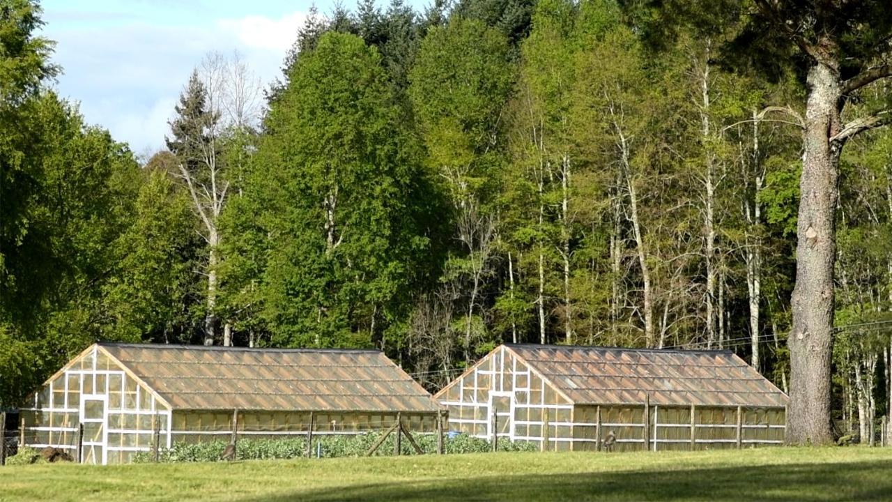 Hotel Dorf